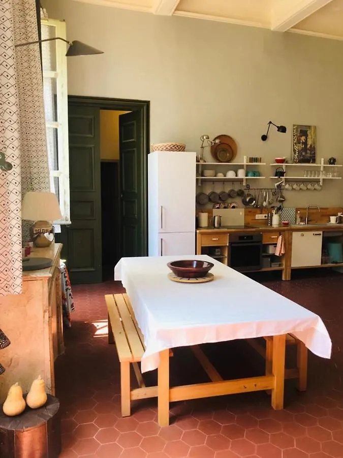Palais Des Papes - Spacious Historic Apartment In Private Mansion ! Free Parking Nearby ! Spacieux Appartement Historique Dans Hotel Particulier ! Parking A Proximite Offert ! Avignon