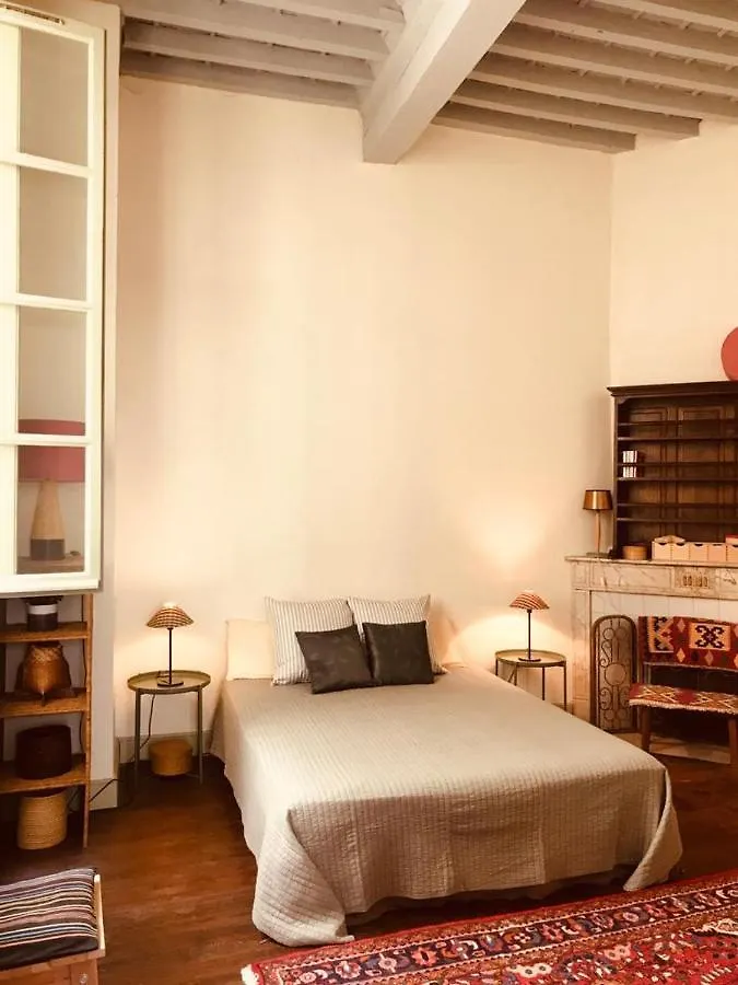 Palais Des Papes - Spacious Historic Apartment In Private Mansion ! Free Parking Nearby ! Spacieux Appartement Historique Dans Hotel Particulier ! Parking A Proximite Offert ! Avignon