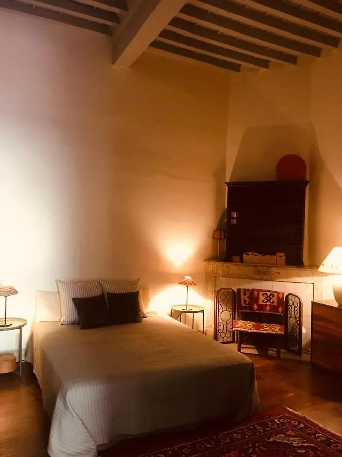 Palais Des Papes - Spacious Historic Apartment In Private Mansion ! Free Parking Nearby ! Spacieux Appartement Historique Dans Hotel Particulier ! Parking A Proximite Offert ! Avignon Frankreich