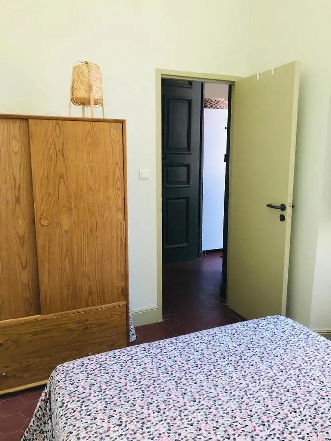 Palais Des Papes - Spacious Historic Apartment In Private Mansion ! Free Parking Nearby ! Spacieux Appartement Historique Dans Hotel Particulier ! Parking A Proximite Offert ! Avignon