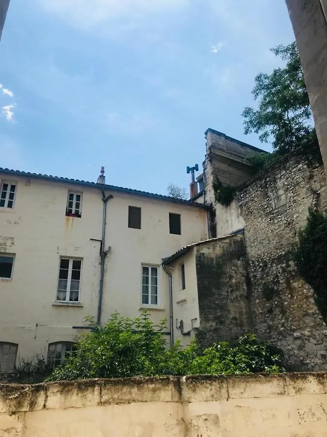 Palais Des Papes - Spacious Historic Apartment In Private Mansion ! Free Parking Nearby ! Spacieux Appartement Historique Dans Hotel Particulier ! Parking A Proximite Offert ! Avignon