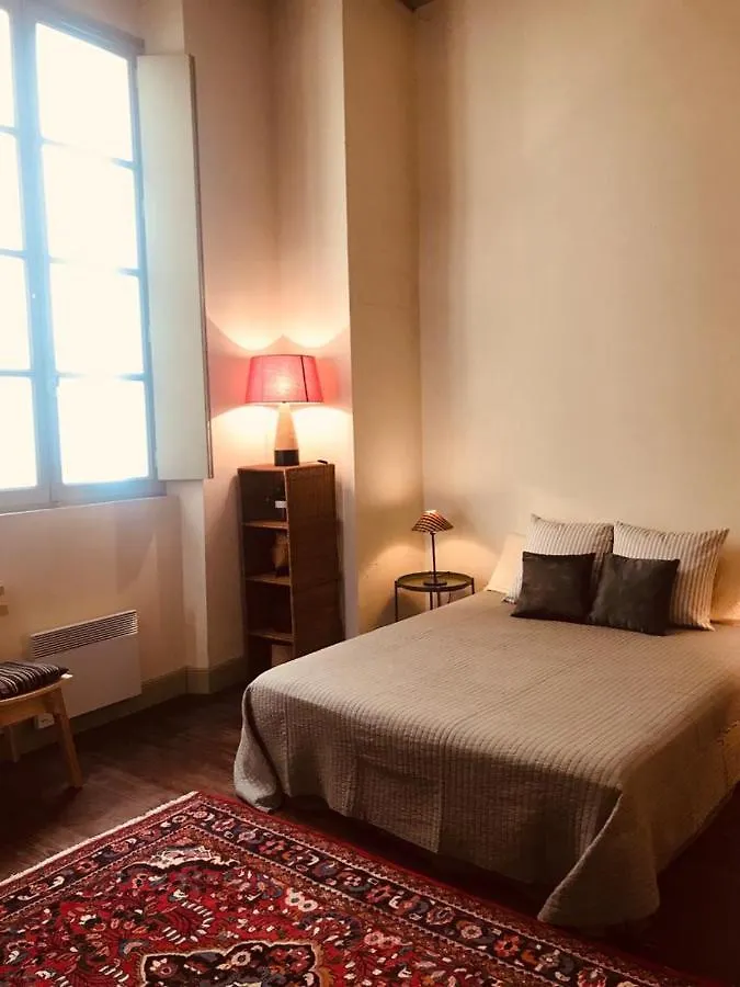 Palais Des Papes - Spacious Historic Apartment In Private Mansion ! Free Parking Nearby ! Spacieux Appartement Historique Dans Hotel Particulier ! Parking A Proximite Offert ! Avignon Frankreich