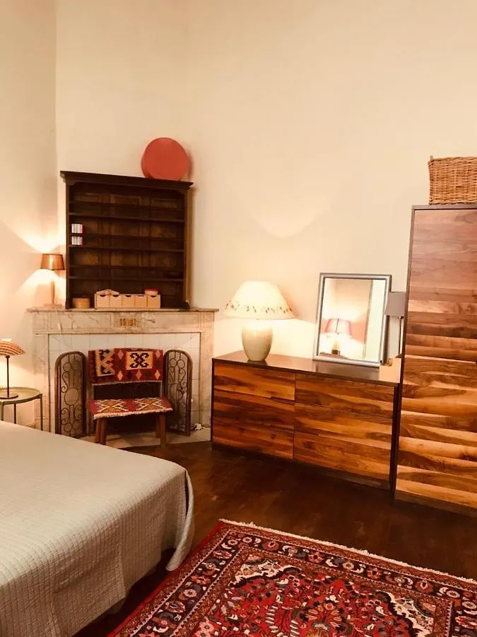 Palais Des Papes - Spacious Historic Apartment In Private Mansion ! Free Parking Nearby ! Spacieux Appartement Historique Dans Hotel Particulier ! Parking A Proximite Offert ! Avignon