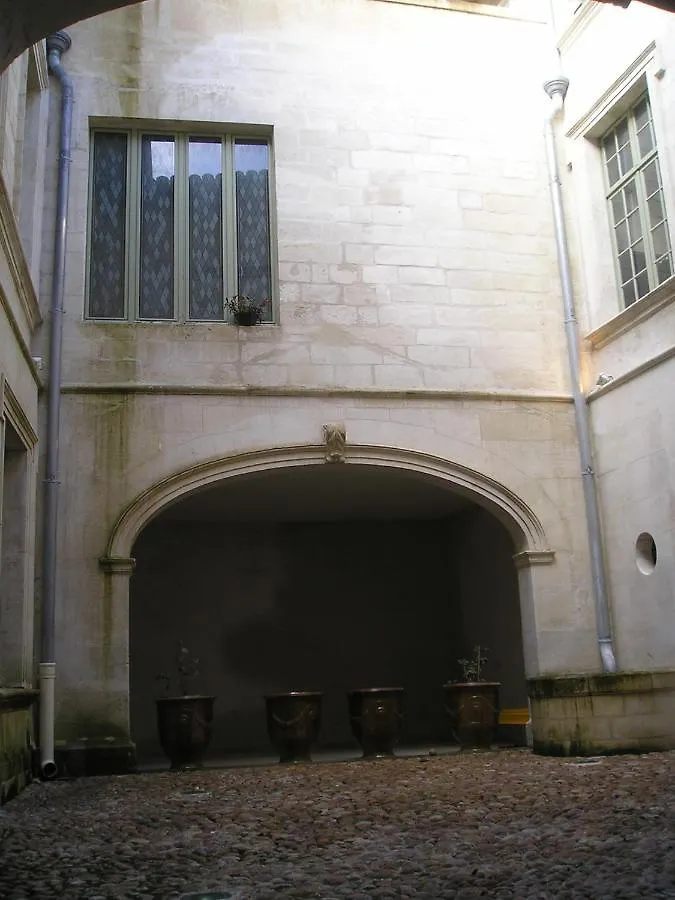 Palais Des Papes: Historic Mansion Apartment with Free Nearby Parking Avignon